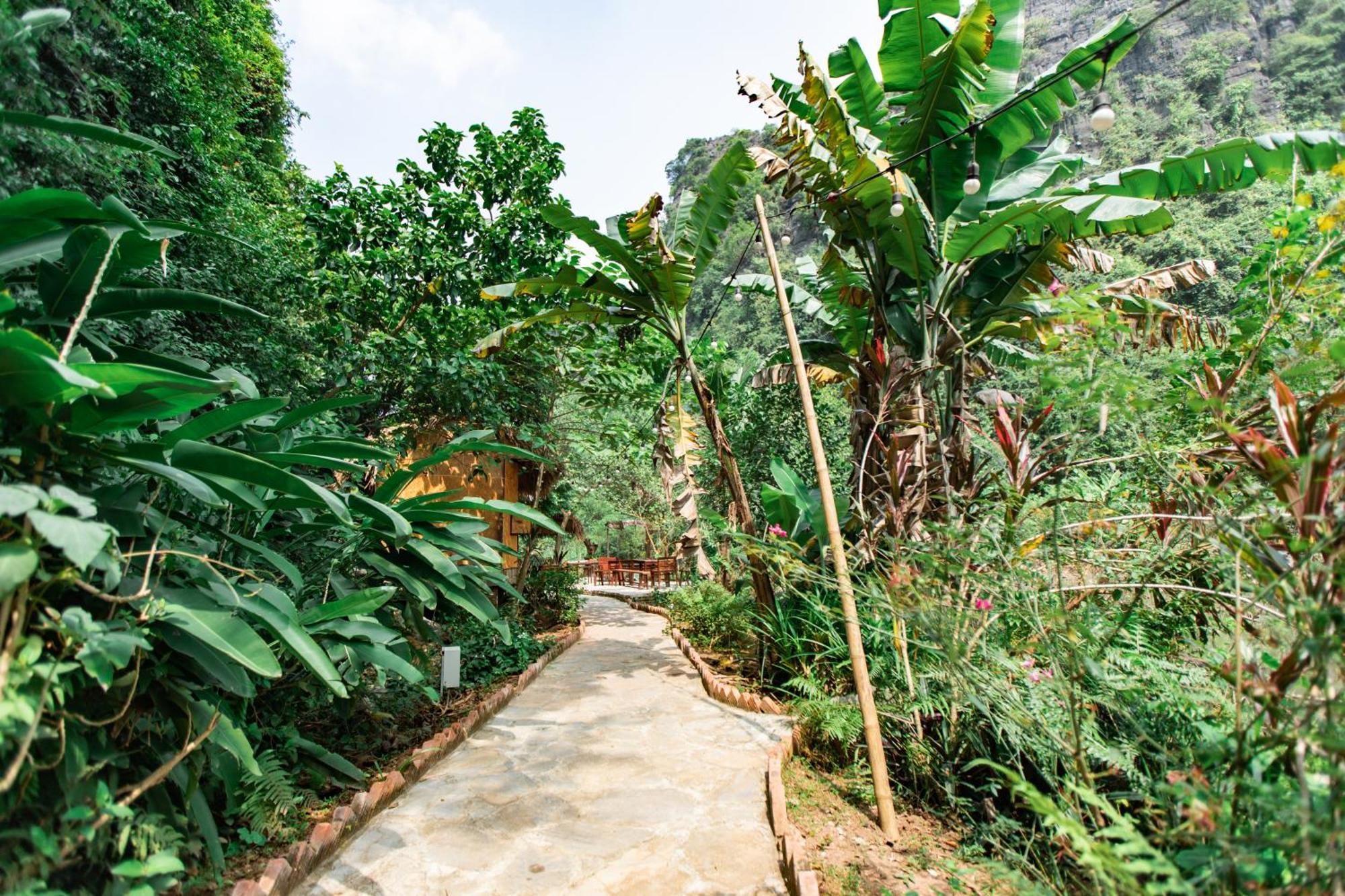 Thung Sen Tam Coc Chalets Ninh Binh Exterior foto